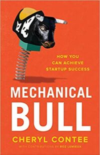 Mechanical Bull- How You Can Achieve Startup Success